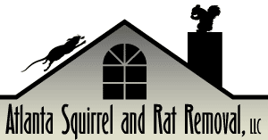 Atlanta Squirrel and Rat Removal