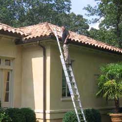 Chris inspecting the roofline.